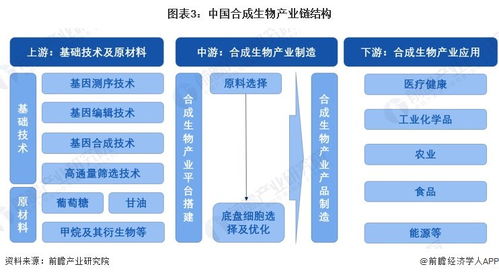 2024年中國合成生物產業全景圖譜 規模、布局與技術路線解析