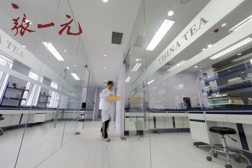 2024中國茶企品牌價(jià)值Top10風(fēng)采展示 百年張一元榮登榜，現(xiàn)代琳龍物流展新篇